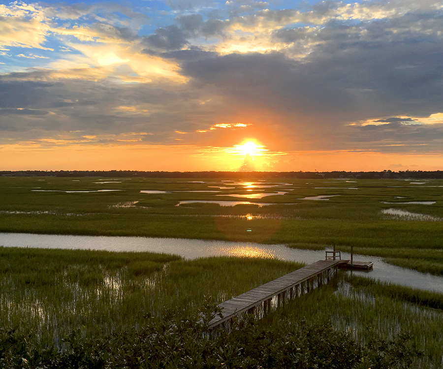 Green Spaces and Wetlands
